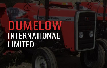 Dumelow International Limited Logo Banner