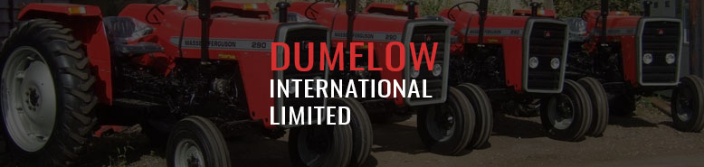 Dumelow International Limited Logo Banner