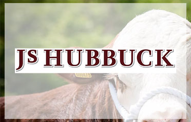 JS Hubbucks Logo Banner