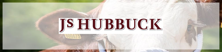 JS Hubbuck Listings Logo Banner