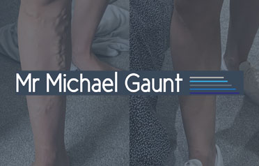 Michael Gaunt Logo Banner