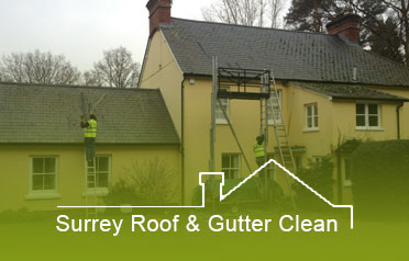 Surrey Roof & Gutter Clean Banner